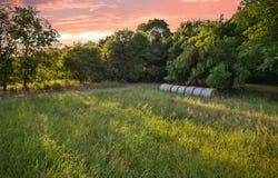 River Road, Waco, TX 76705