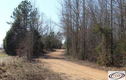 Hart Cemetery Rd, CEDAR GROVE, TN 38321