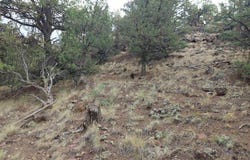 222 Sunrise Road, South Fork, CO 81154