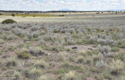 76 acres CR 6451, St. Johns, AZ 85936