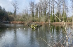 1 E Brightwood Loop Rd, Brightwood, OR 97011