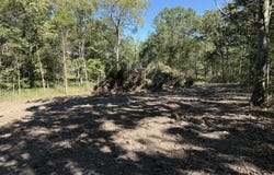 203, Wheatland, MO 65779