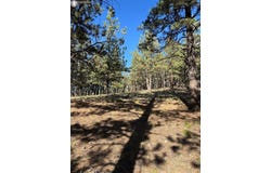 44 Horn Silver Drive, Westcliffe, CO 81252