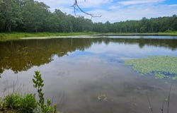 5554 County Road 3380, Willow Springs, MO 65793