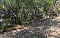 Calvary Circle, Lonoke, AR 72086
