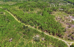 SE 51 Way, TRENTON, FL 32693