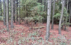 552 Timbuktu Trail, Broken Bow, OK 74728
