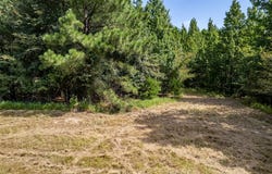 County Road 2115, Troup, TX 75789
