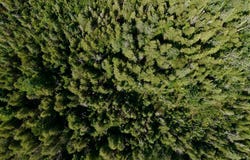 Brookside Ln, Ephraim, WI 54211