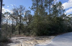 Bear Head Road, Crestview, FL 32539