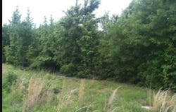 Bickley Road, Irmo, SC 29063