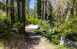 785 Summit DR, BOULDER CREEK, CA 95006