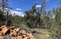 Jeep Trail, Overgaard, AZ 85933