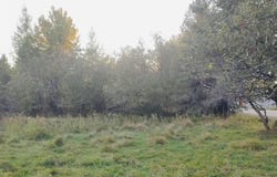 N River Road, Park Falls-WI, WI 54552