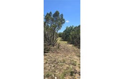 Private Road lot: 11, Evant, TX 76525