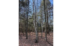 5.25 Lane, Menominee, MI 49858