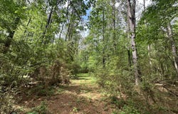 Mccomb Holmesville Road, McComb, MS 39648