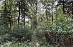 34179 SPLIT RAIL LN, FRANKFORD, DE 19945