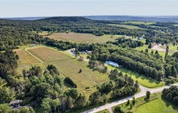 11189 Beech Tree Road, Springville, NY 14141