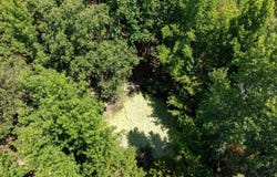 161 E Hopewell Rd, Cord, AR 72524
