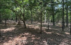 18 CATAWBA lot: 19, Clarkridge, AR 72623