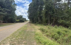 34125 lloyd mill rd, Red Level, AL 36474