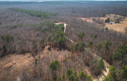 000011 State Highway 72, Bunker, MO 63629