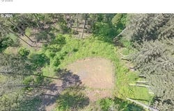 Alder Branch Rd, Springfield, OR 97478