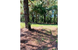 NW 134TH Drive, ALACHUA, FL 32615