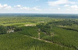 4920 Richardson Rd, Molino, FL 32577