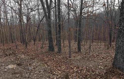 Half Place lot: 2713, Edwards, MO 65326