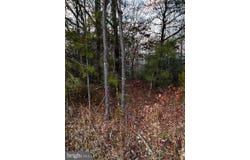 PRATTS PLACE, MONTROSS, VA 22520