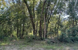 SW 68TH DRIVE lot: 31, Jasper, FL 32052