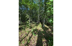 911 Parkstown Road lot: 16, Wilder, TN 38589