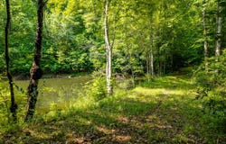Hwy 68, Tellico Plains, TN 37385