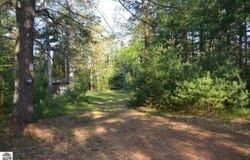 7601 N Cabin Lane, Roscommon, MI 48653