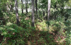 Dooley Drive, Malvern, AR 72104