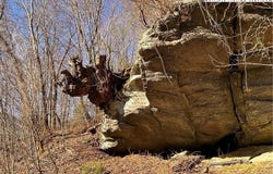 1122 Three Mile Highway, Newland, NC 28657