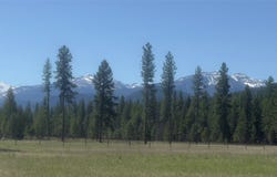 110 Verna Court, Libby, MT 59923