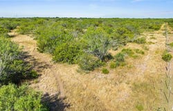 TBD LT9 Broken Ranch Trail, Alice, TX 78332