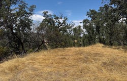 16173 Nugget Road, Corning, CA 96021
