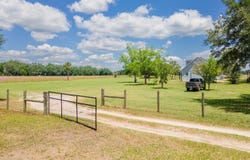 4381 NE 105TH PLACE, ANTHONY, FL 32617