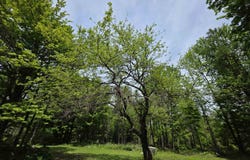 2731 VT Rte 232, Marshfield, VT 05658-8050