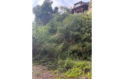 Sheffield, Cambria, CA 93428