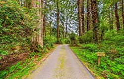 1120 Patricks Pt Drive, Trinidad, CA 95570