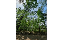 2195 Lake Drive, Mio, MI 48647