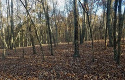 ACORN/SOLITUDE, ROMNEY, WV 26757
