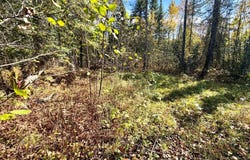 County Road 303, Deer River, MN 56636