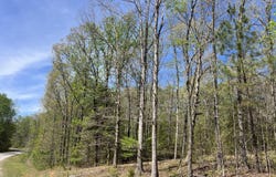942 Excalibur Trail (Lot 101), Cedar Grove, TN 38321
