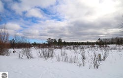 6412 Lora Bette Drive, Alanson, MI 49706